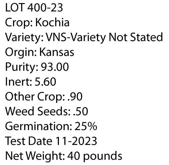 KOCHIA  (Bassia Scoparia) Seed - Game Bird Honey.webp