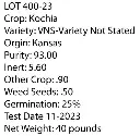 KOCHIA  (Bassia Scoparia) Seed - Game Bird Honey.webp