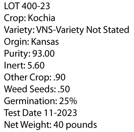 KOCHIA  (Bassia Scoparia) Seed - Game Bird Honey