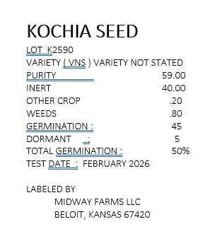 Screenshot 2026-03-09 152933.webp